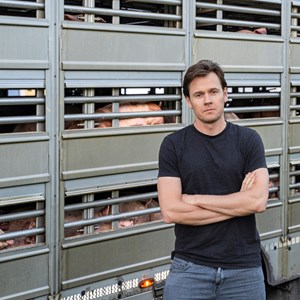 Vi vil forbyde lange og brutale dyretransporter