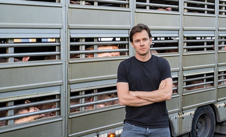 Vi vil forbyde lange og brutale dyretransporter